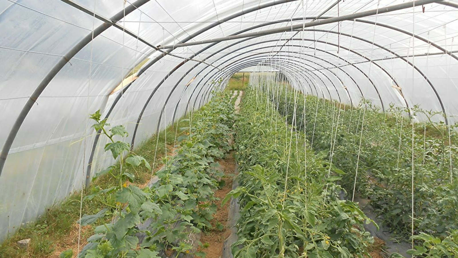 Ferme sous la côte