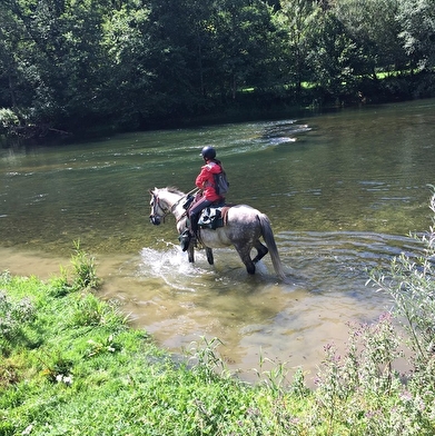 Trace equestre des ballons comtois