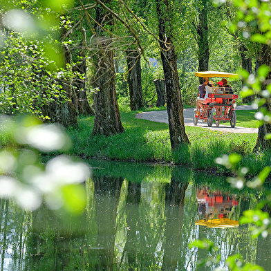 Lac de Vesoul-Vaivre