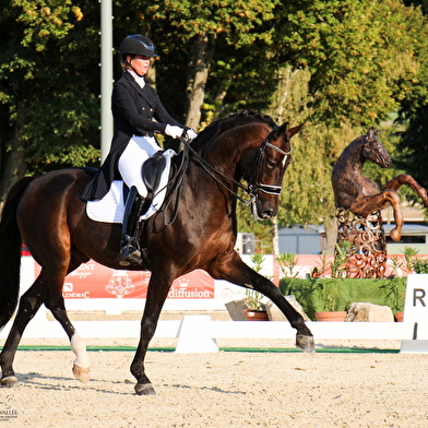 Concours Hippique - Grand National de dressage