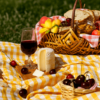 Fantastic Picnic Parodien