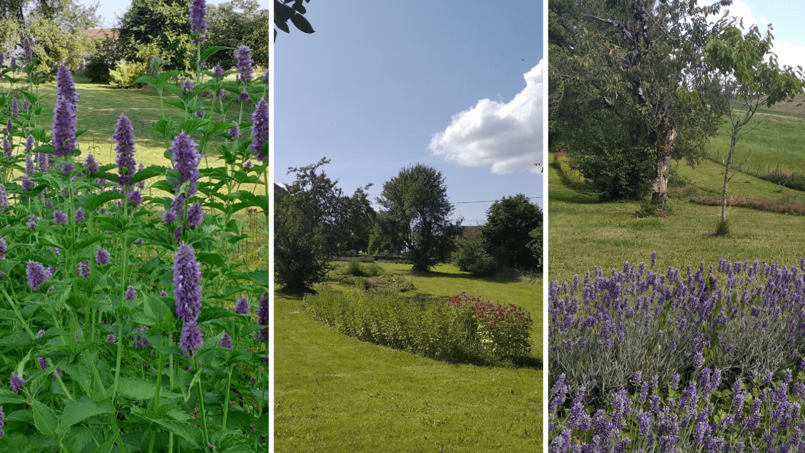 Visite gourmande aux plantes