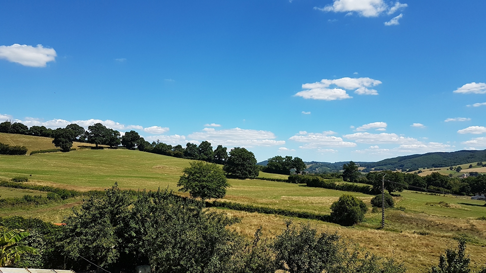 Entre vignobles de Bourgogne et forêts du Morvan