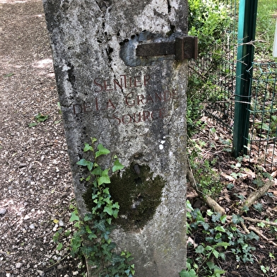 Randonnée : Mont-Mussy par la grande source