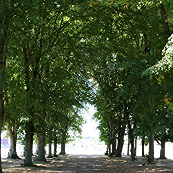 Promenade des Halles - DECIZE