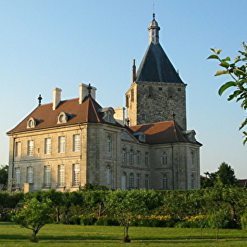 Château de Talmay - TALMAY