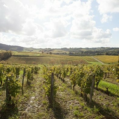 Henri Maire, Les Deux Tonneaux