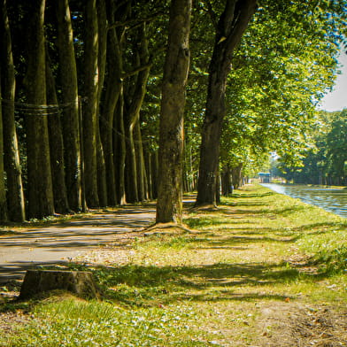 La véloroute Nevers-Le Guétin