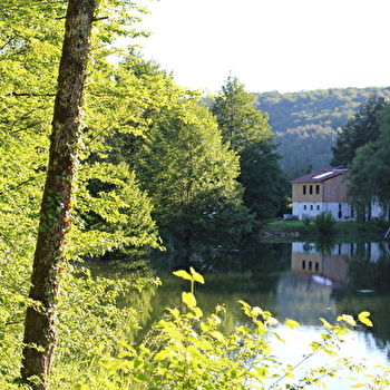 Domaine de la Combe Rossignol - VERNOIS-LES-VESVRES