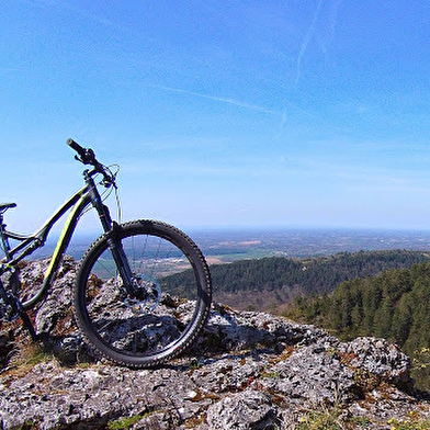 Circuit VTT n°7 (rouge) - Drom - Villereversure