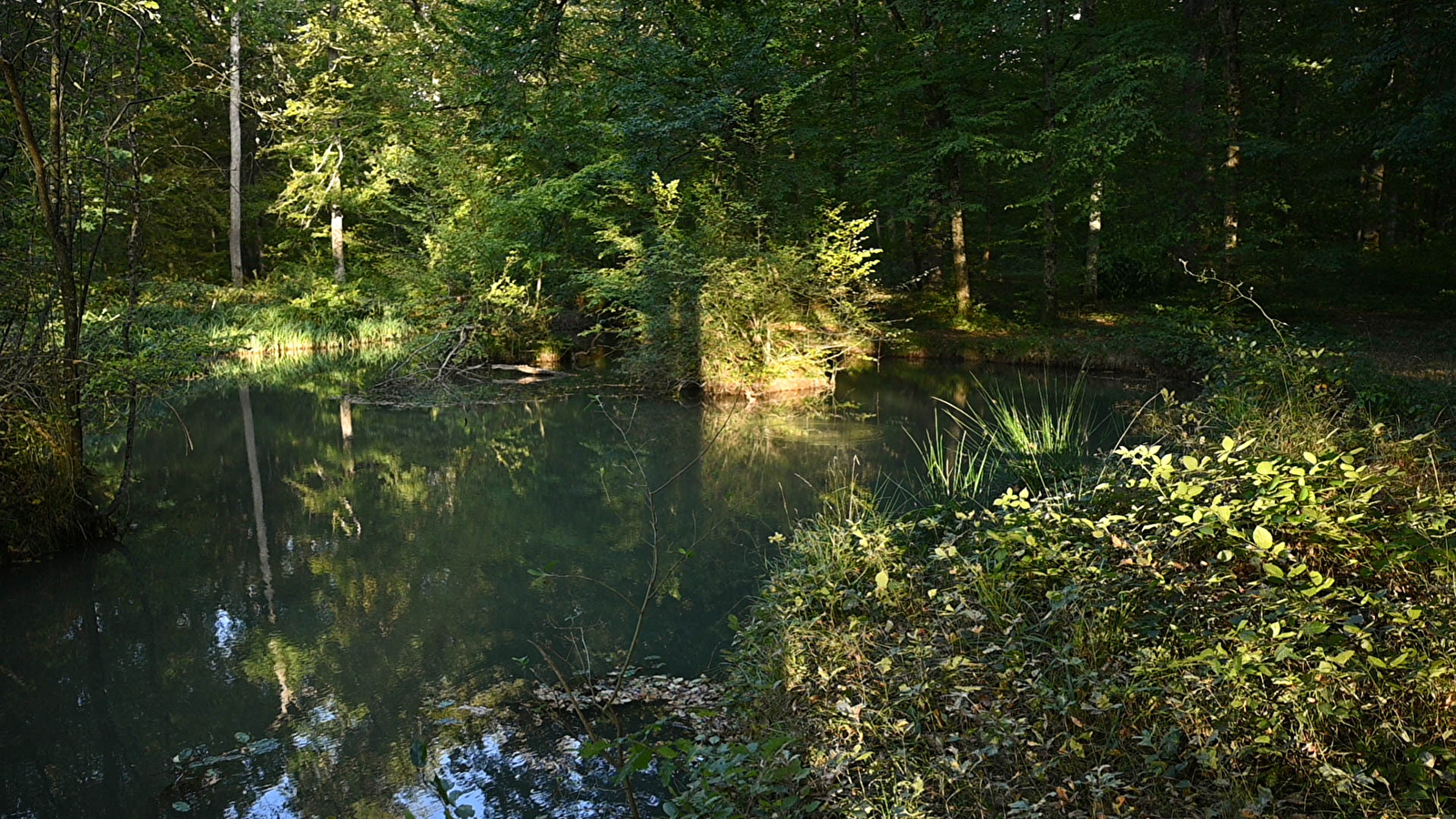 Fontaine en Bertranges