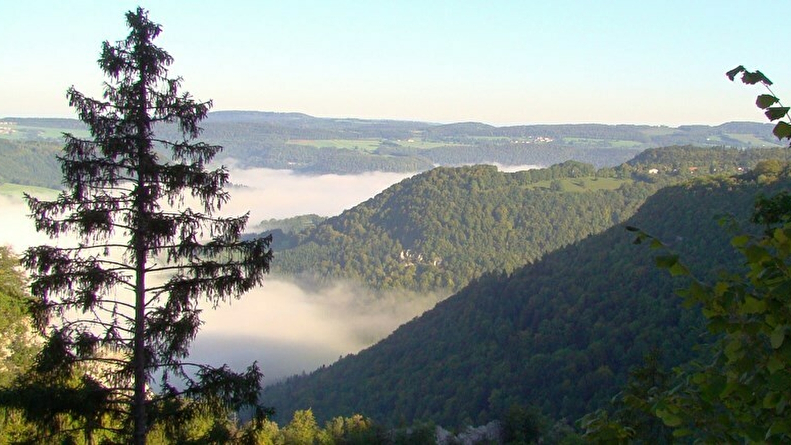 Point de vue la Ranconnière