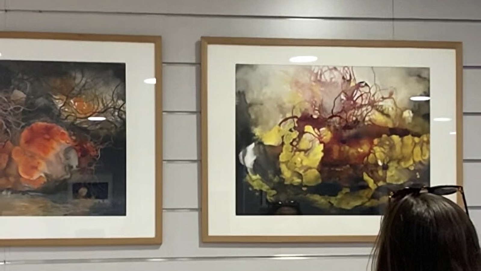 Exposition 'De natures'
