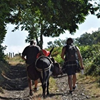 Bibracte fête la nature - SAINT-LEGER-SOUS-BEUVRAY