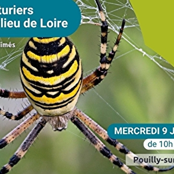Les Aventuriers du Milieu de Loire : journée nature pour les 6-12 ans, spéciale 'Les mal-aimés' - POUILLY-SUR-LOIRE