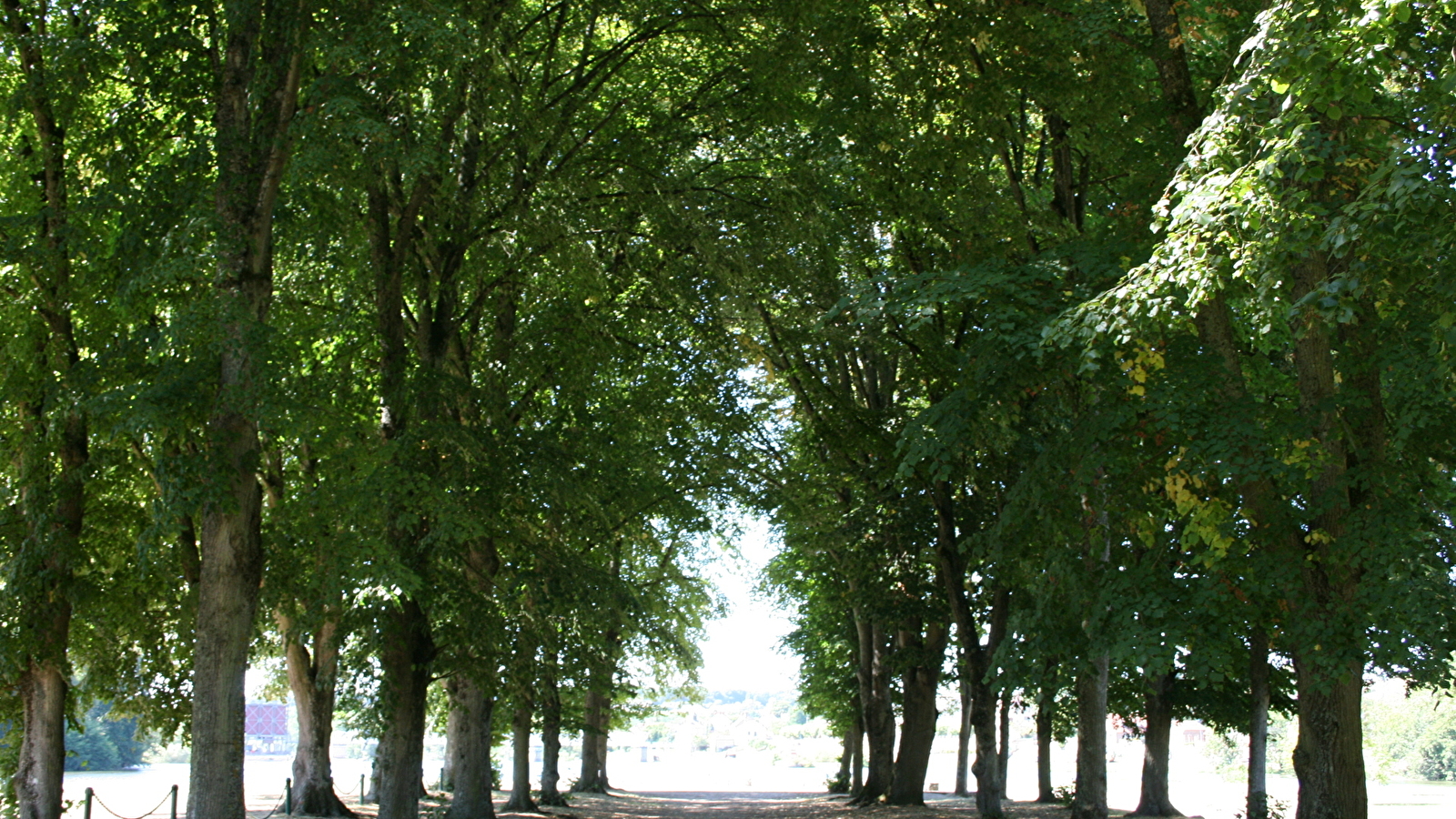 Promenade des Halles