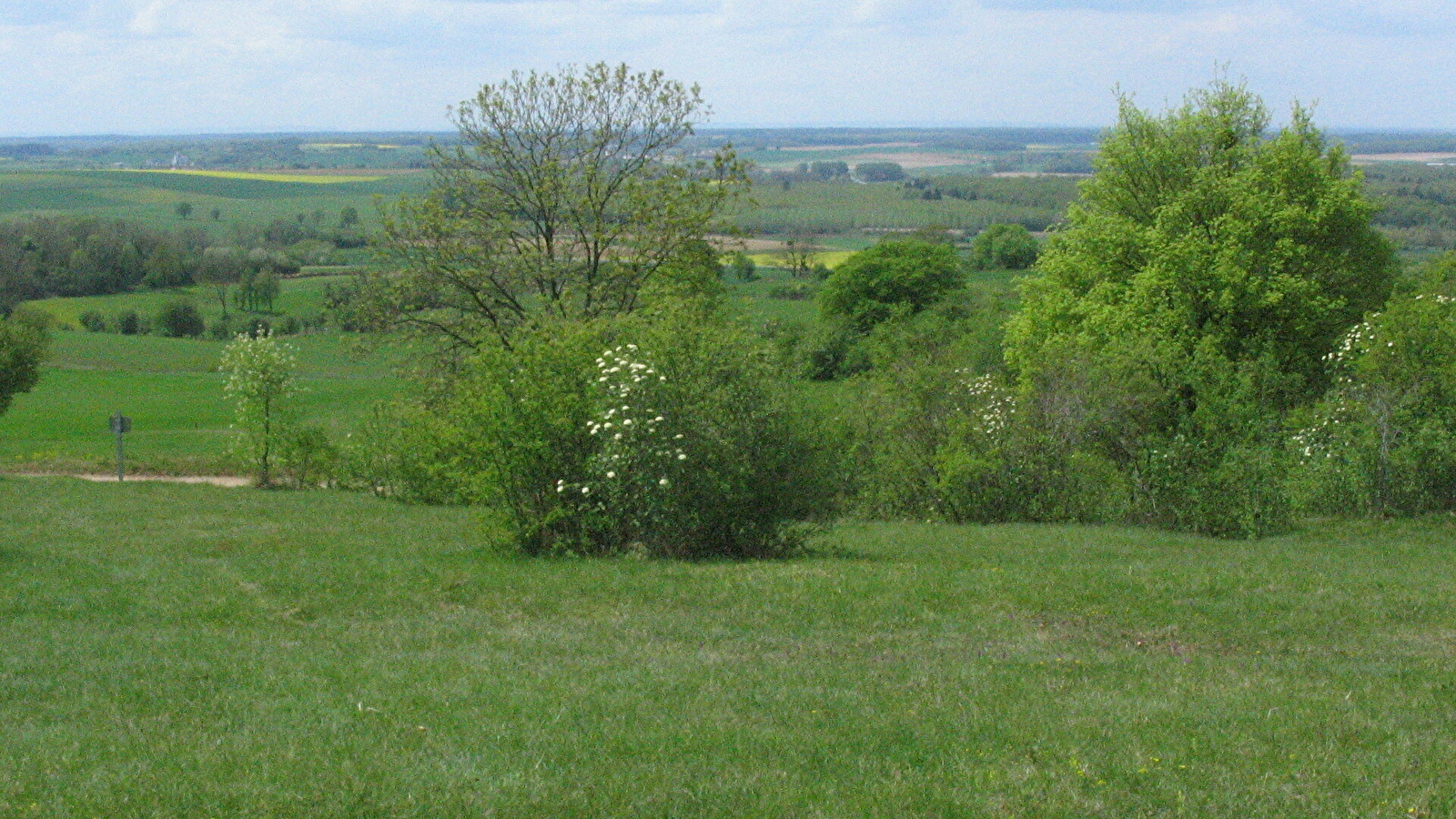 Les pelouses sèches des Monts de Gy