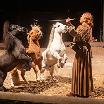 Spectacle Équestre de Noël - CLUNY
