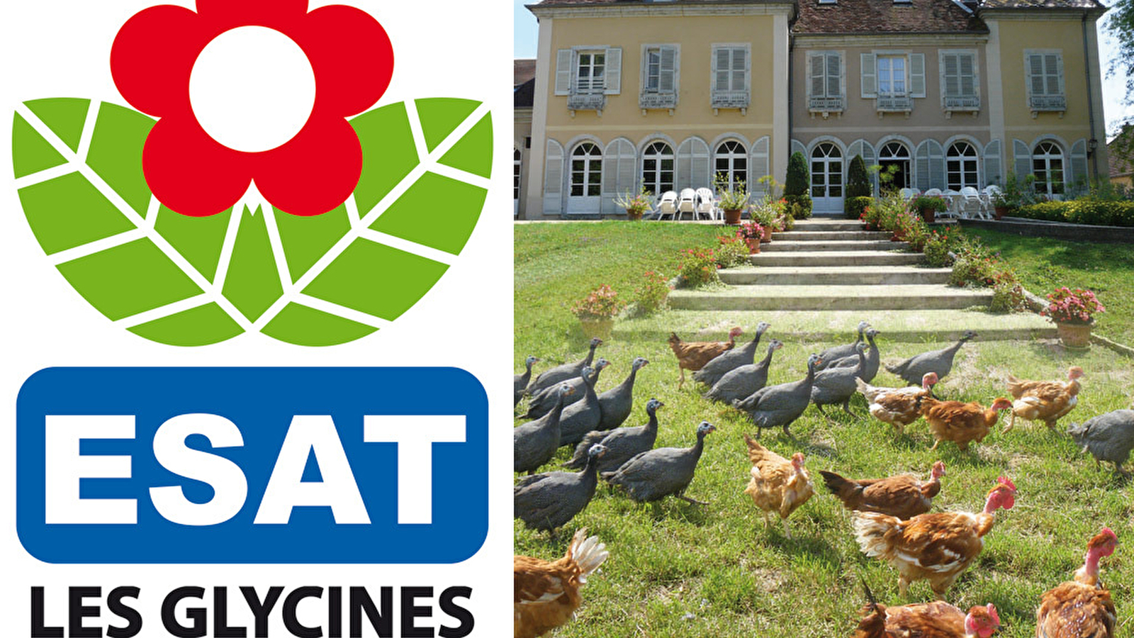 La Ferme Les Glycines
