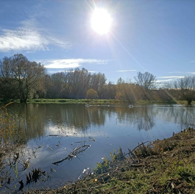 Le Parc des 2 Canaux