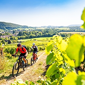 Echappée Jurassienne VTT - Étape 3 : Poligny - Perrigny - POLIGNY