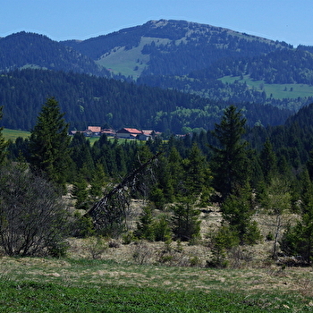 Sentier des Bornes - LES FOURGS