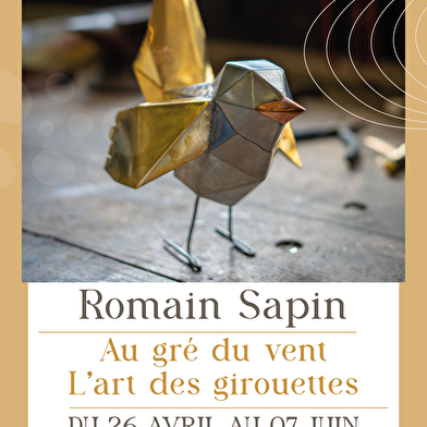 Au gré du vent, l'art des girouettes - Romain Sapin