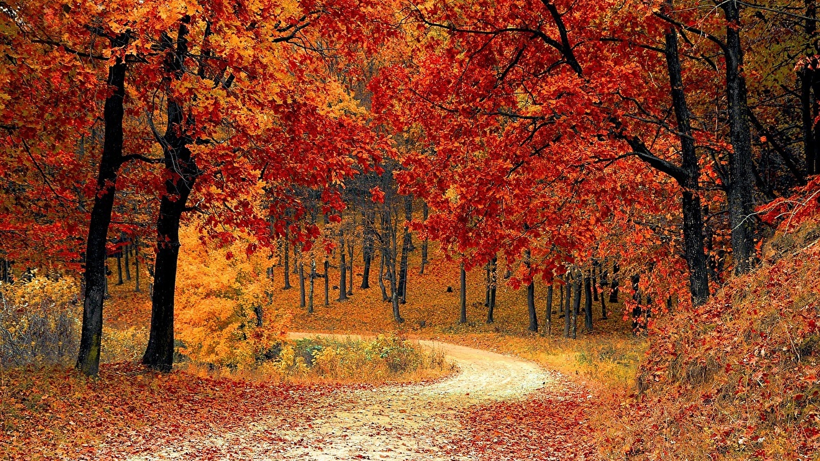 Chantiers d'automne