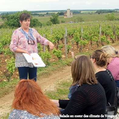 Masterclass/ Stage découverte des vins de Bourgogne : Balade guidée et  initiation à la dégustation et à l'oenologie