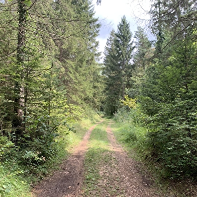 Randonnée - Le petit tour du plateau de Chamoise