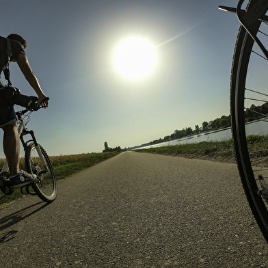 Location de vélos - Office de tourisme CAP Val de Saône – Bureau d’Auxonne