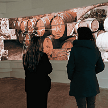 La Nuit des Climats à Chablis - CHABLIS