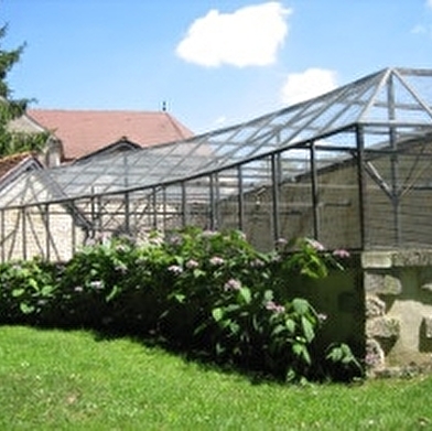 Le parc du château de Montigny-sur-Aube