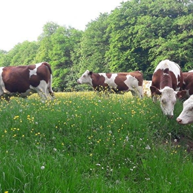 Ferme bio Monnin