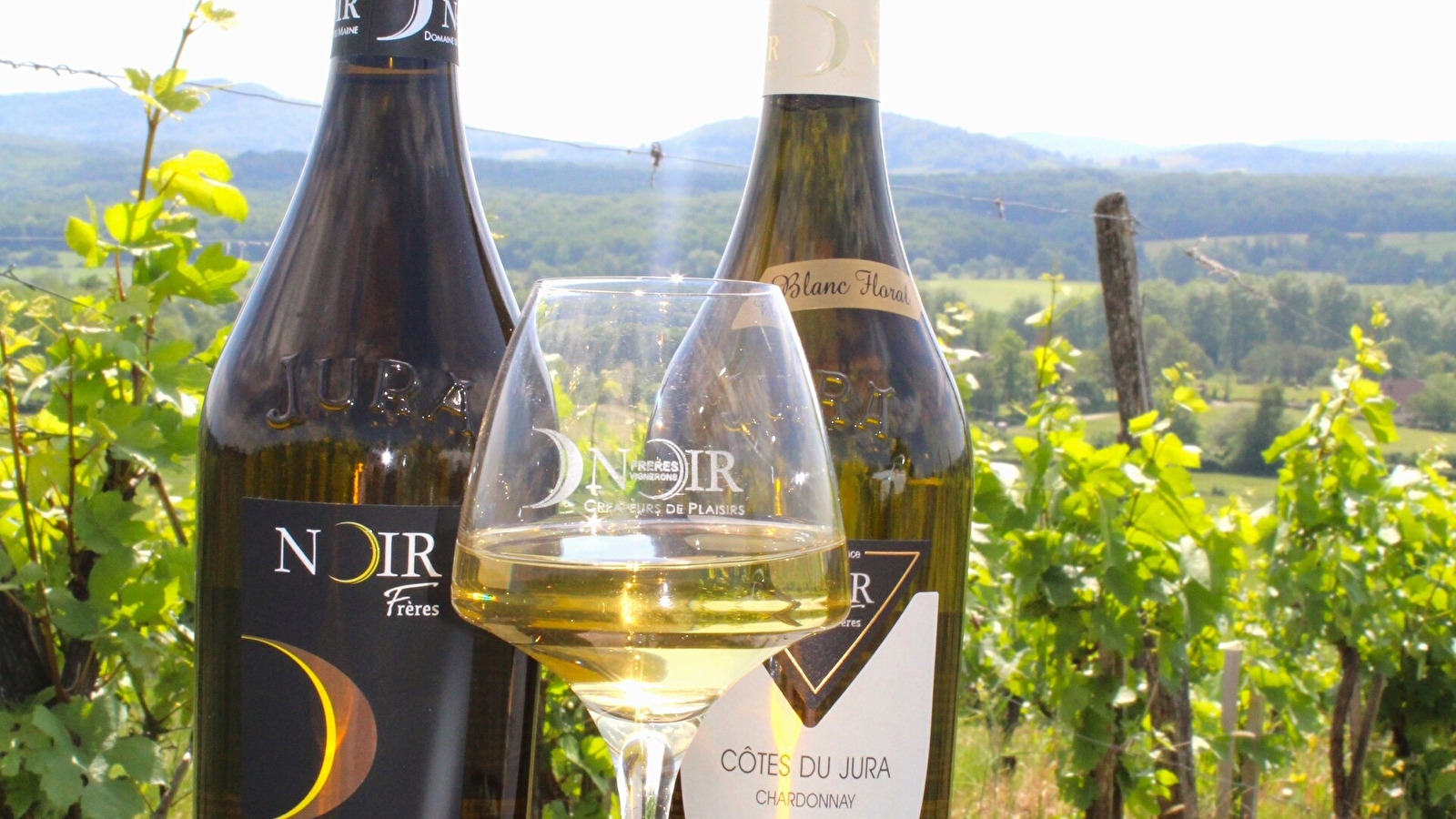 De la vigne au verre
