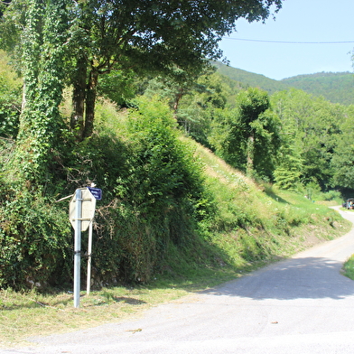 Randonnée pédestre - Crêt de Chalam depuis Forens
