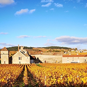 Portes ouvertes au Domaine Clos du Moulin aux Moines - AUXEY-DURESSES