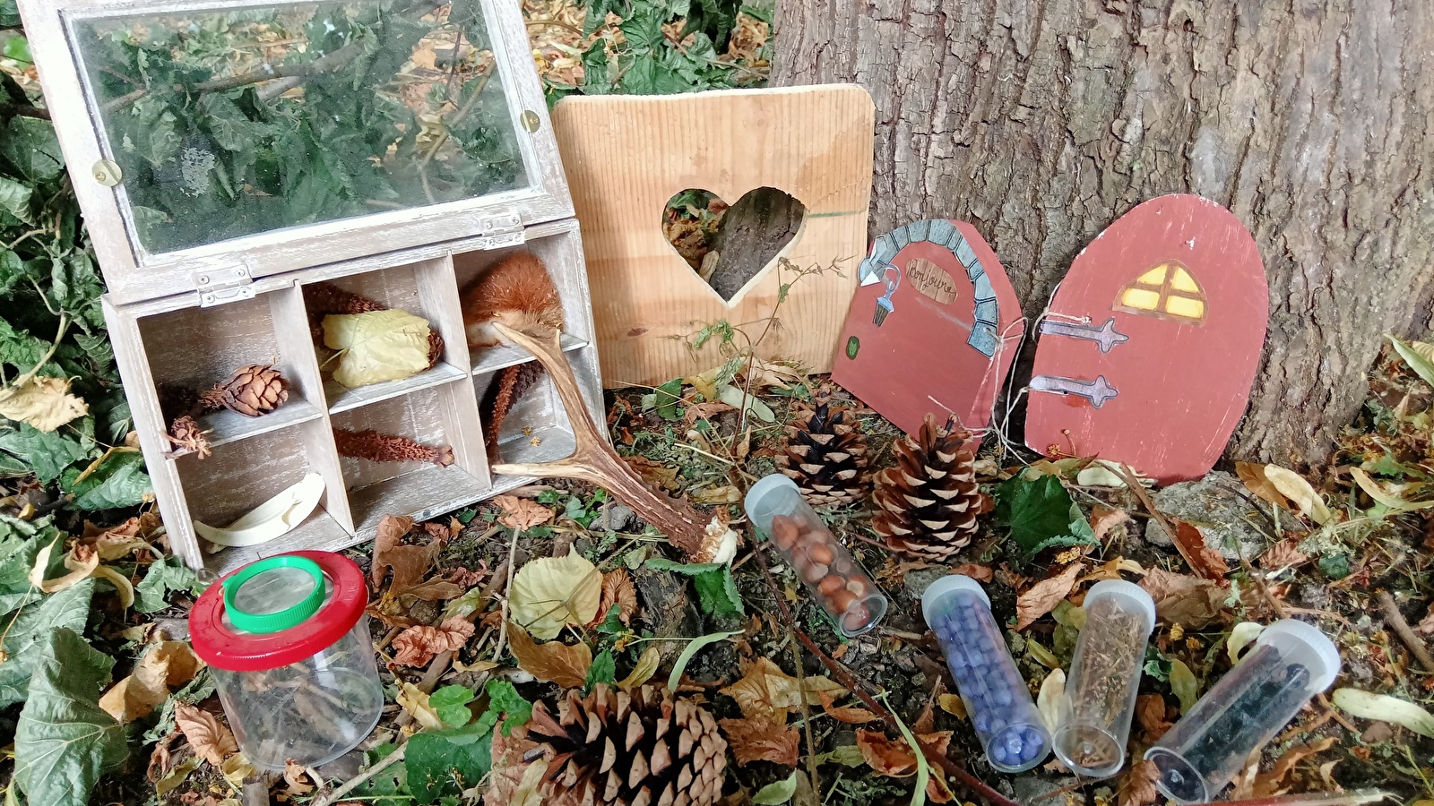 Récréalivre - Je me promène au fond de la forêt