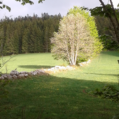 Bois de Chaux Mourant