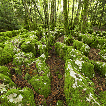 Le karst - BESAIN