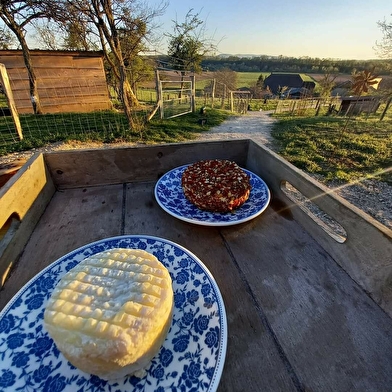 Cabane nuitée insolite : chambre féérique