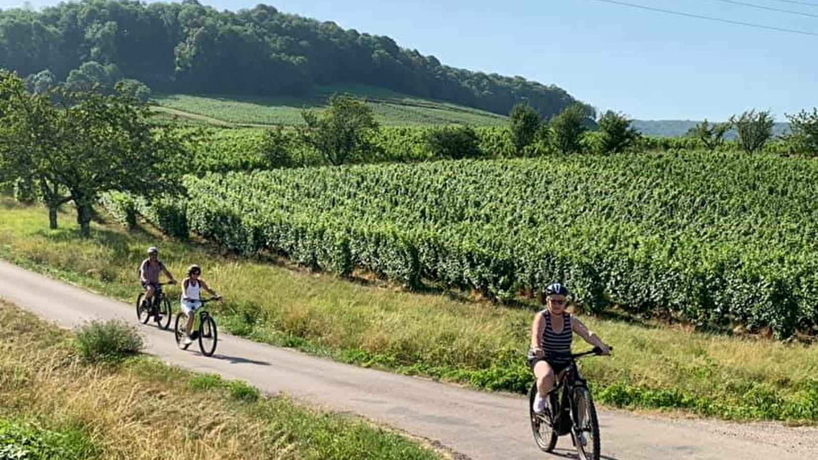 Découverte à vélo du vignoble