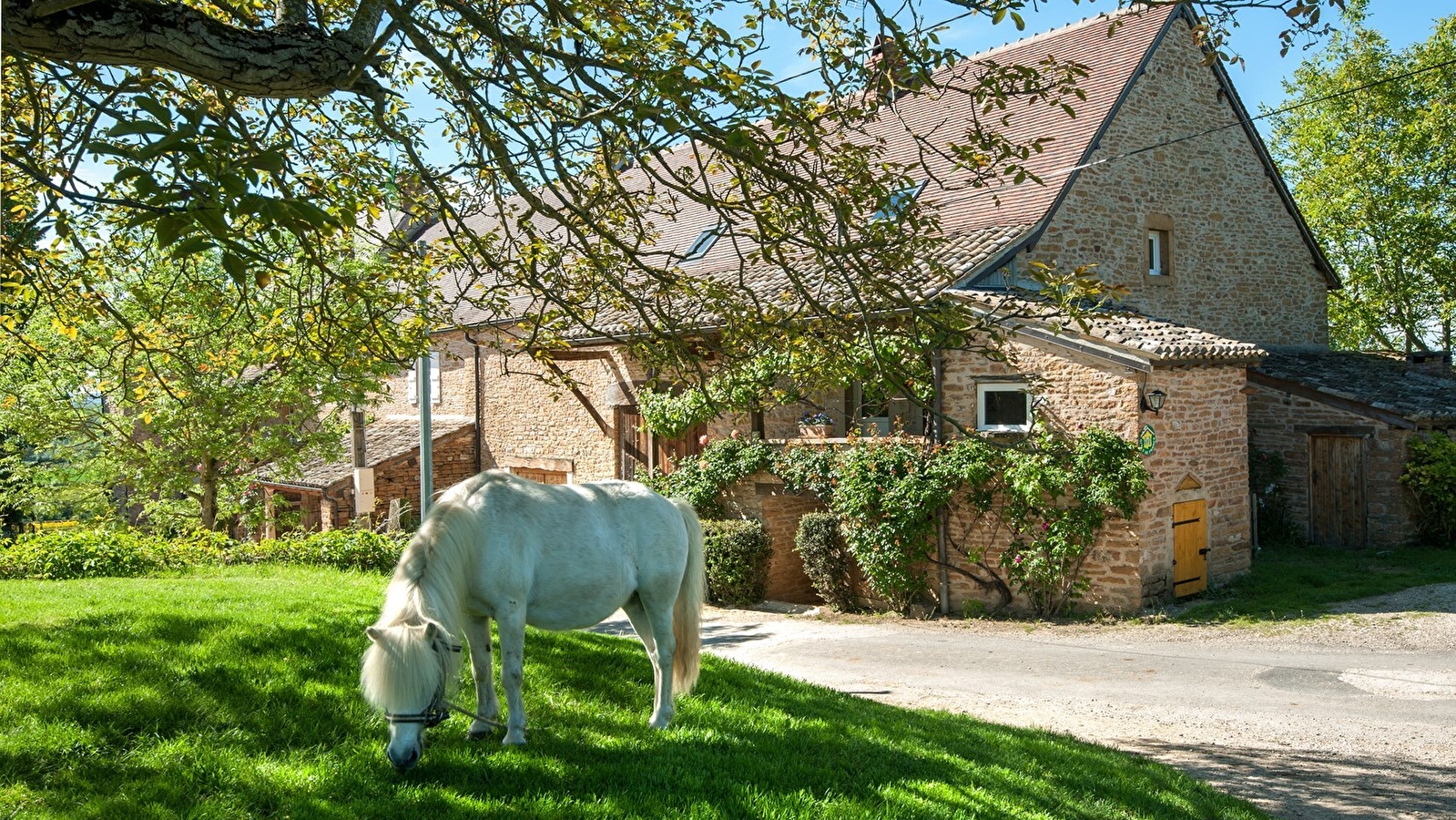 Le Petit Gîte de la Ferme de Châtenay
