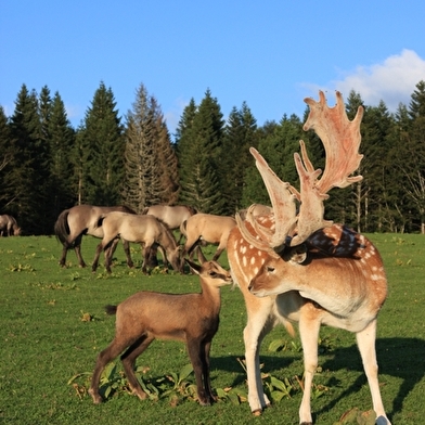 En famille à la campagne à la découverte des animaux