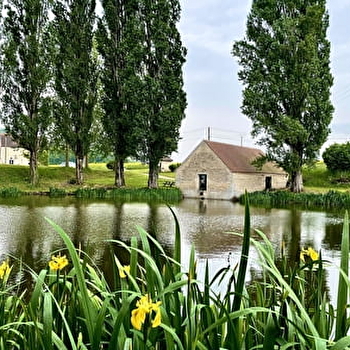 Étang et lavoir de Saulx-la-Ville - SAULX-LE-DUC