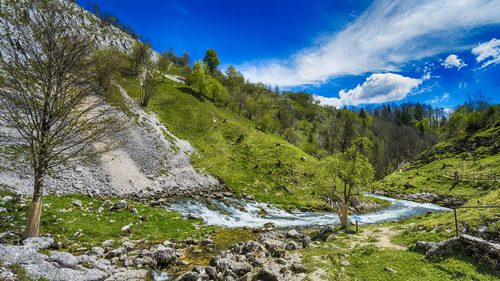 Source de la Saine