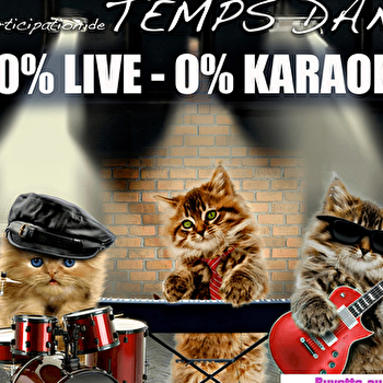 Le concert des baladins - ARC-LES-GRAY