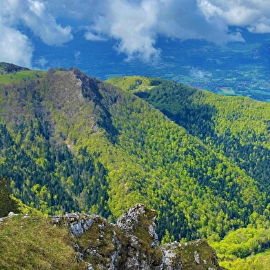 Randonnée pédestre : Circuit des crêtes du Grand Colombier
