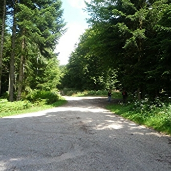 Massif de la Serre - MOISSEY