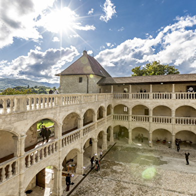 Excursion Fort l'Ecluse et château de clermont